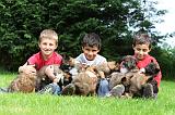 ENFANT ET CHIEN 137
